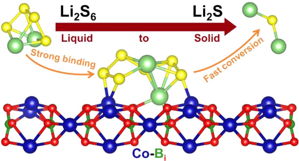 陳忠偉/王新Adv. Sci.：面向極端溫度應(yīng)用的鋰金屬電池電解質(zhì)設(shè)計