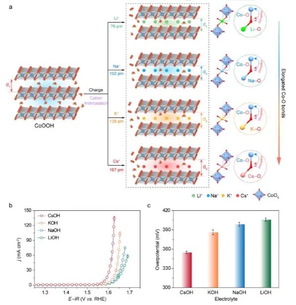 ?武漢大學(xué)Angew：有效提升CoOOH催化OER性能，電解質(zhì)陽離子功不可沒！