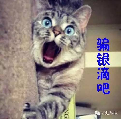 What？！論文被退稿，因為圖像分辨率太高！