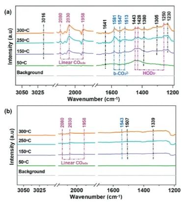 ?賈宏鵬/陳儆Adv. Sci.：構(gòu)建富氧空位Ni基催化劑，實現(xiàn)光熱催化CO2甲烷化和儲氫
