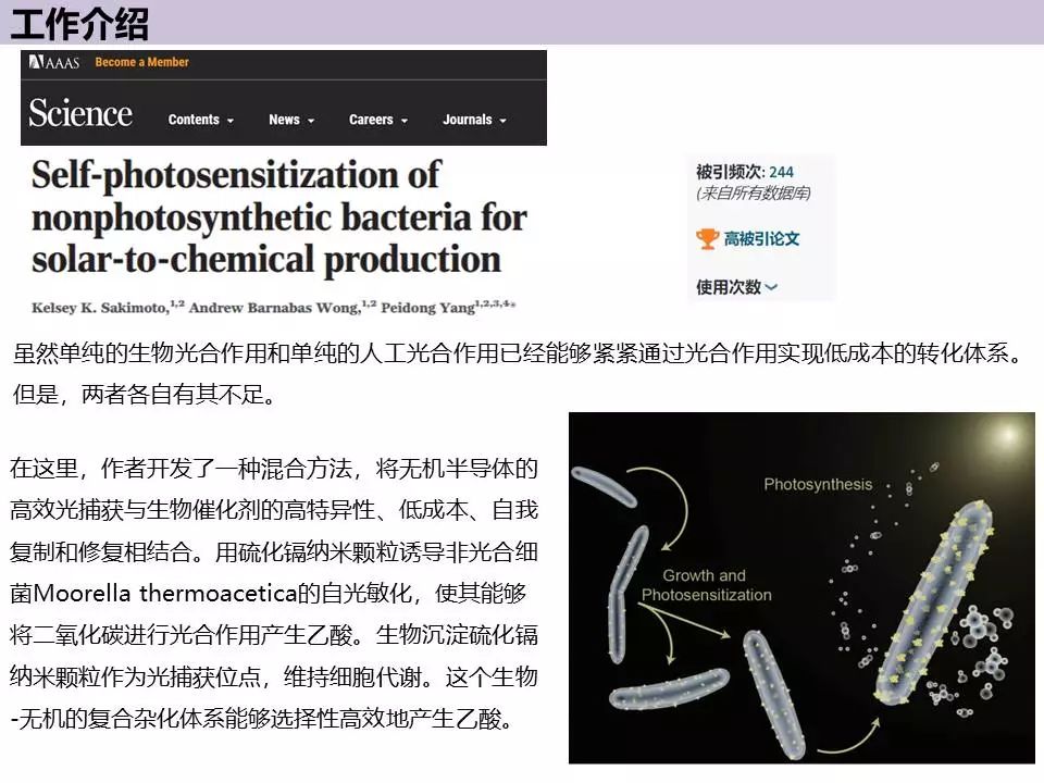 人物專談—加州大學(xué)楊培東教授！經(jīng)驗(yàn)分享+經(jīng)典工作介紹！