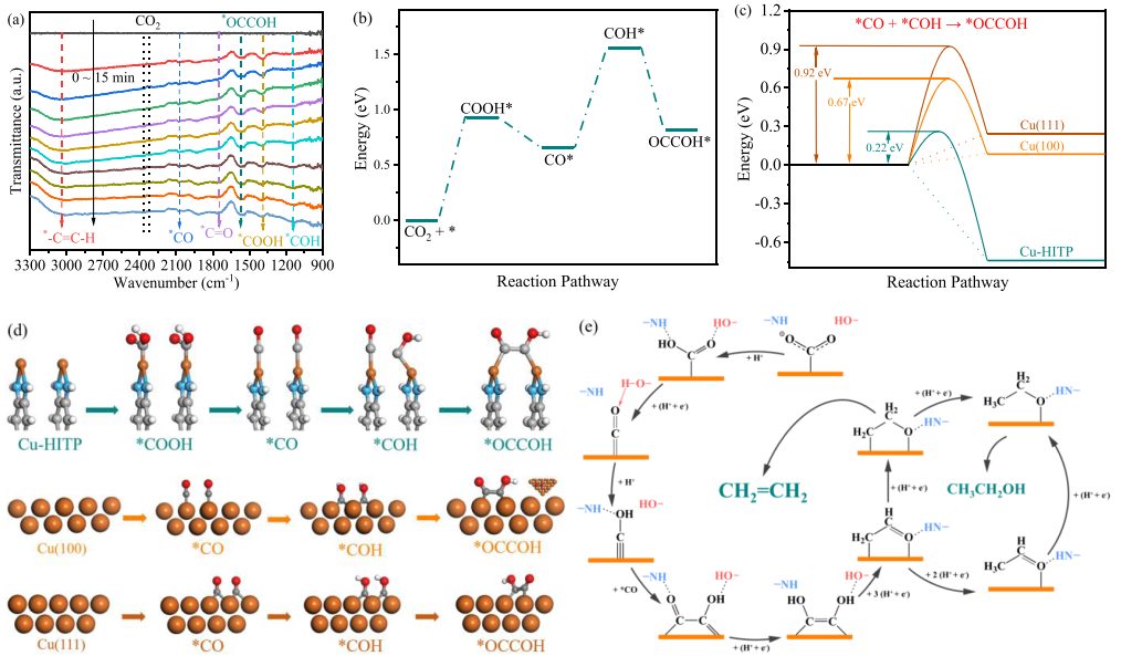 中大廖培欽ACS Catalysis：MOF負載的雙銅位點用于CO2還原制C2+ 產物