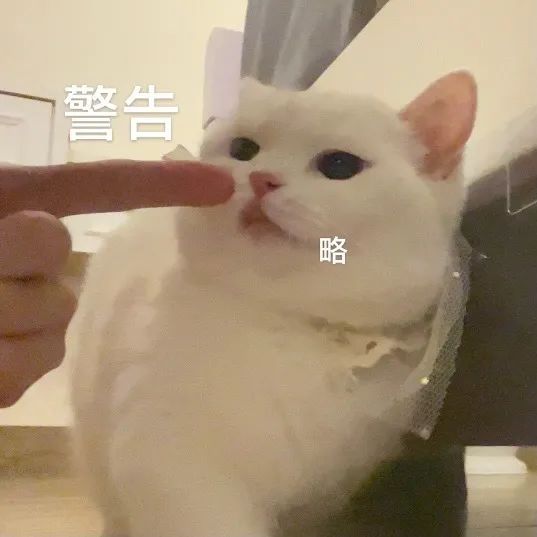 導(dǎo)師:我不會拖延研究生正常畢業(yè) 導(dǎo)師:我不會拖延研究生正常畢業(yè)