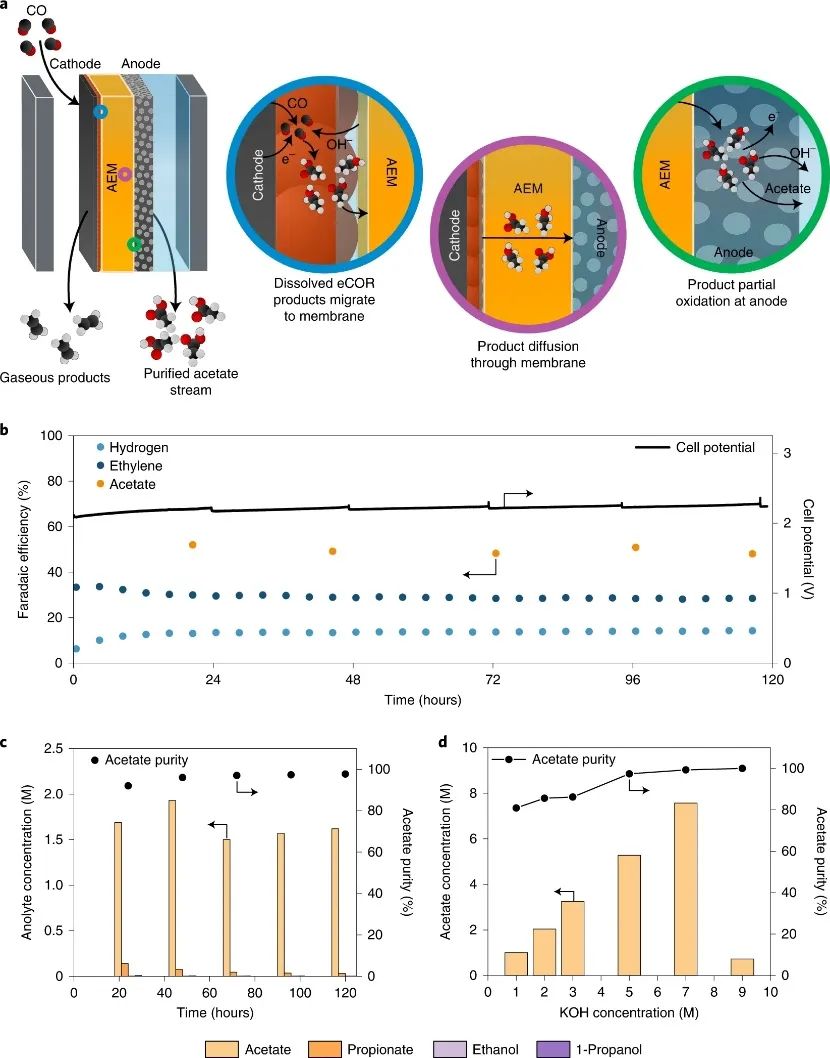 Nature Catalysis！一氧化碳電還原耦合陽(yáng)極氧化提高乙酸的選擇性