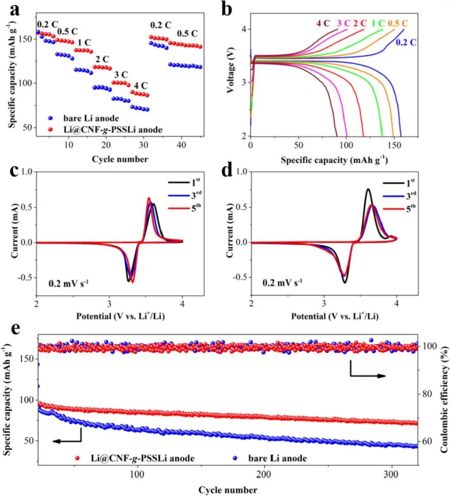 中山大學(xué)EnSM: 一種用于快充鋰金屬電池的基于聚合物刷的單離子導(dǎo)電人工SEI膜