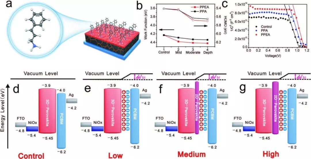 西交吳朝新AFM：設計共軛配體分子，解決鈣鈦礦太陽電池核心問題
