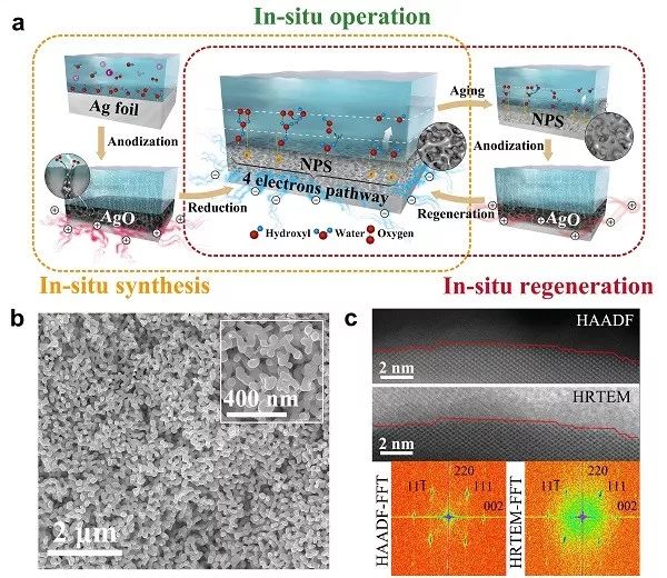 邵洋Nano Energy：高性能氧還原催化劑-多孔銀的原位合成、使用與再生