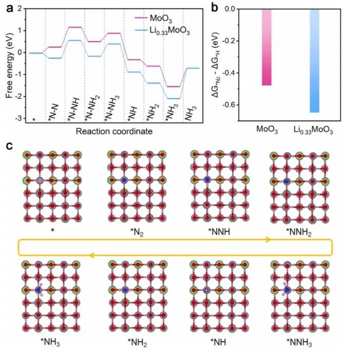 山大/港城大?Nano Energy：鋰化策略立大功！活化MoO3為LixMoO3用于高效光電化學(xué)氨合成
