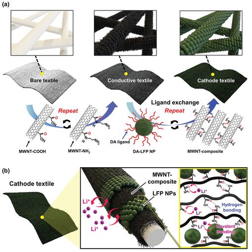 陳忠偉/王新Adv. Sci.：面向極端溫度應(yīng)用的鋰金屬電池電解質(zhì)設(shè)計