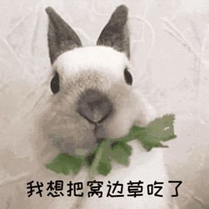 研究生坑導(dǎo)師行為大賞！導(dǎo)師為了讓大弟子畢業(yè)，不得已自寫論文