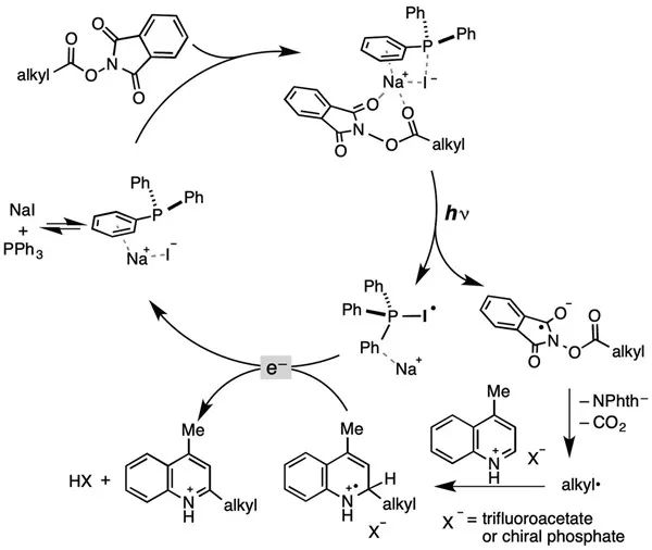 最新Science：光催化反應(yīng)新理論，將大大降低反應(yīng)成本