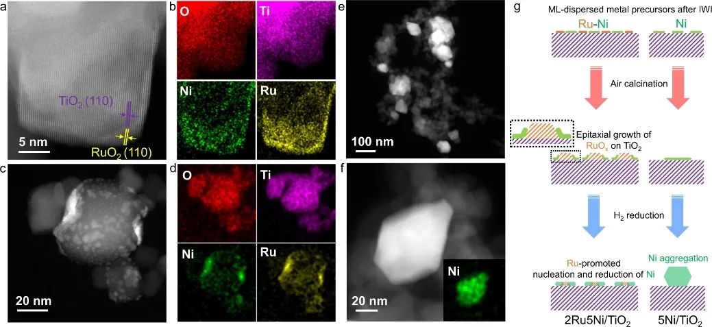 北大馬丁&華理戴升，最新Nature子刊！