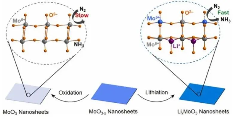 山大/港城大?Nano Energy：鋰化策略立大功！活化MoO3為LixMoO3用于高效光電化學(xué)氨合成