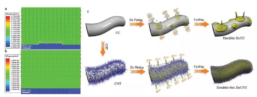 中山大學(xué)AM：多功能柔性3D碳納米管（CNT）作為鋅沉積/溶解骨架實(shí)現(xiàn)無樹枝化鋅負(fù)極