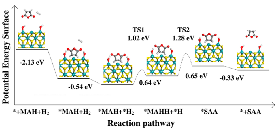 婁陽ACS Catalysis：二維 1T-MoS2邊緣位點(diǎn)促進(jìn)馬來酸酐選擇性加氫