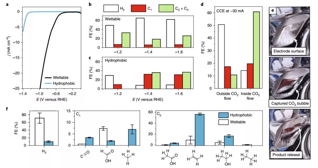 Nature Materials：來自大自然的啟示，構(gòu)建高效CO2RR界面