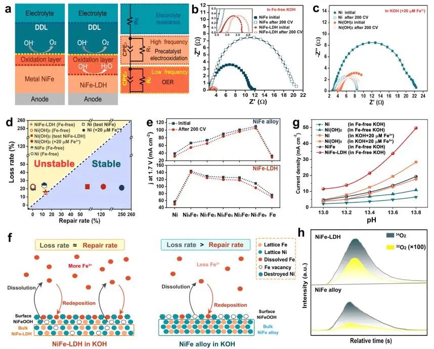 李念兵/羅紅群?ACS Catalysis：NiFe基電催化劑OER中Fe的動(dòng)態(tài)交換自修復(fù)機(jī)理