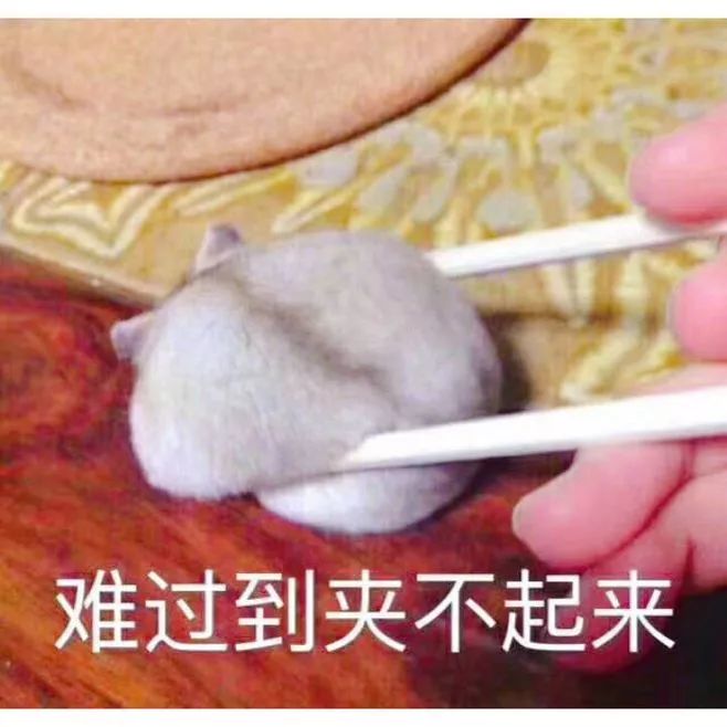 被罵慘！博士師弟：實(shí)驗(yàn)室發(fā)了50篇SCI的菌，被我一鍋端了...