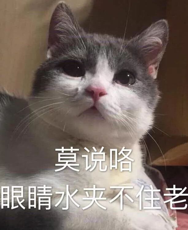 被罵慘！博士師弟：實(shí)驗(yàn)室發(fā)了50篇SCI的菌，被我一鍋端了...