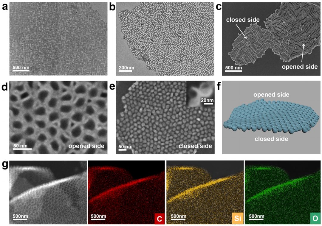 趙東元院士，最新JACS！