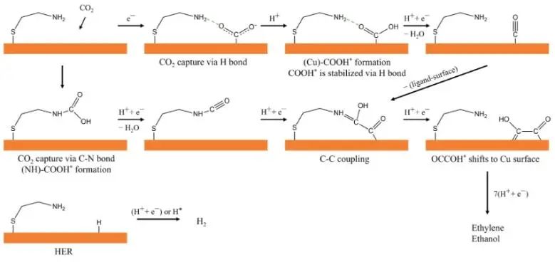 ?JACS: 氨基硫醇配體-金屬界面立大功，顯著增強CO2捕獲與轉(zhuǎn)化