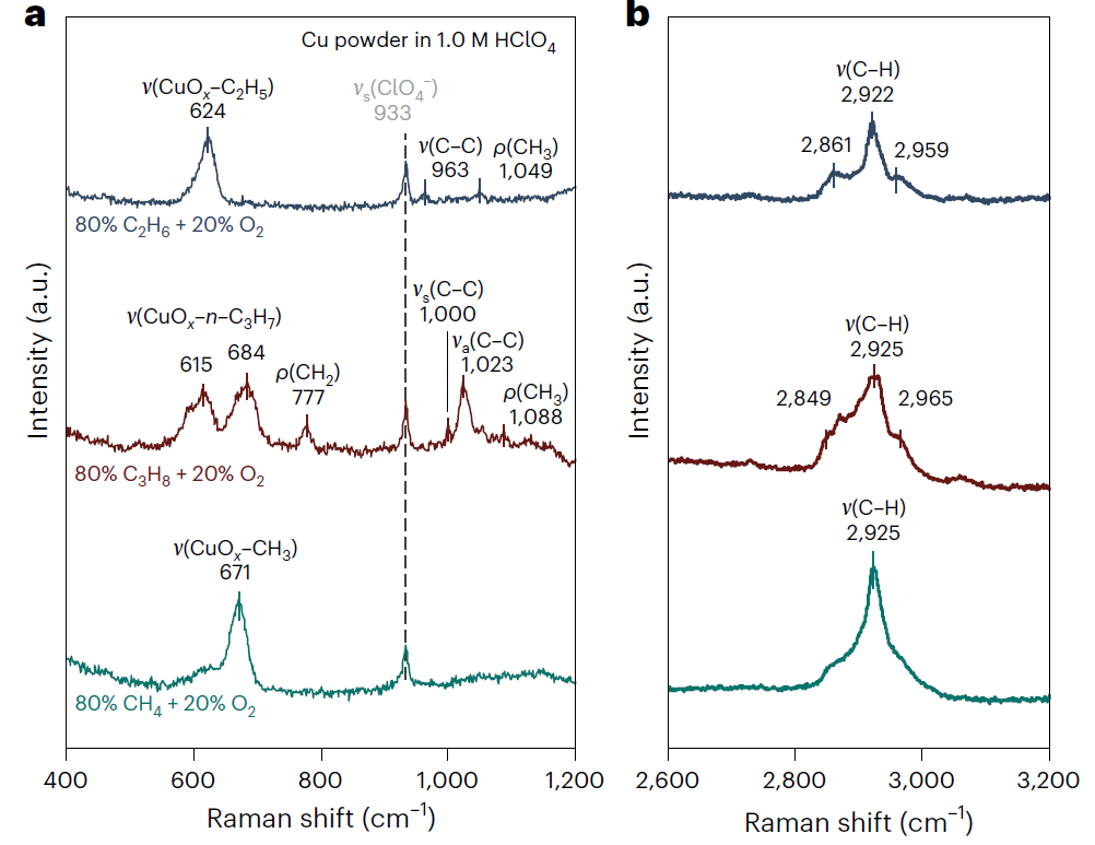 文章未動，專利先行！清北聯(lián)手Nature Catalysis，破解Dream Reaction！