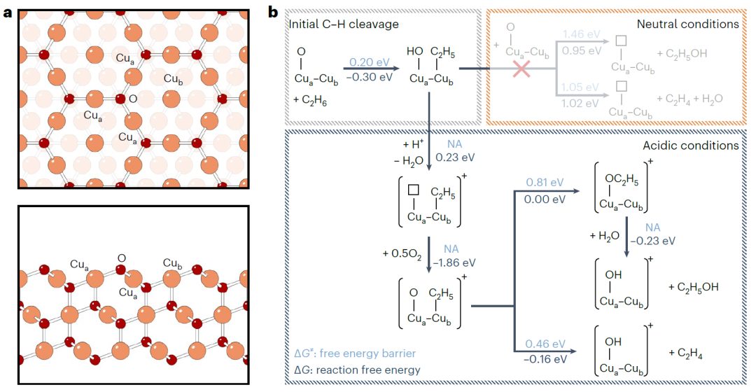 文章未動，專利先行！清北聯(lián)手Nature Catalysis，破解Dream Reaction！