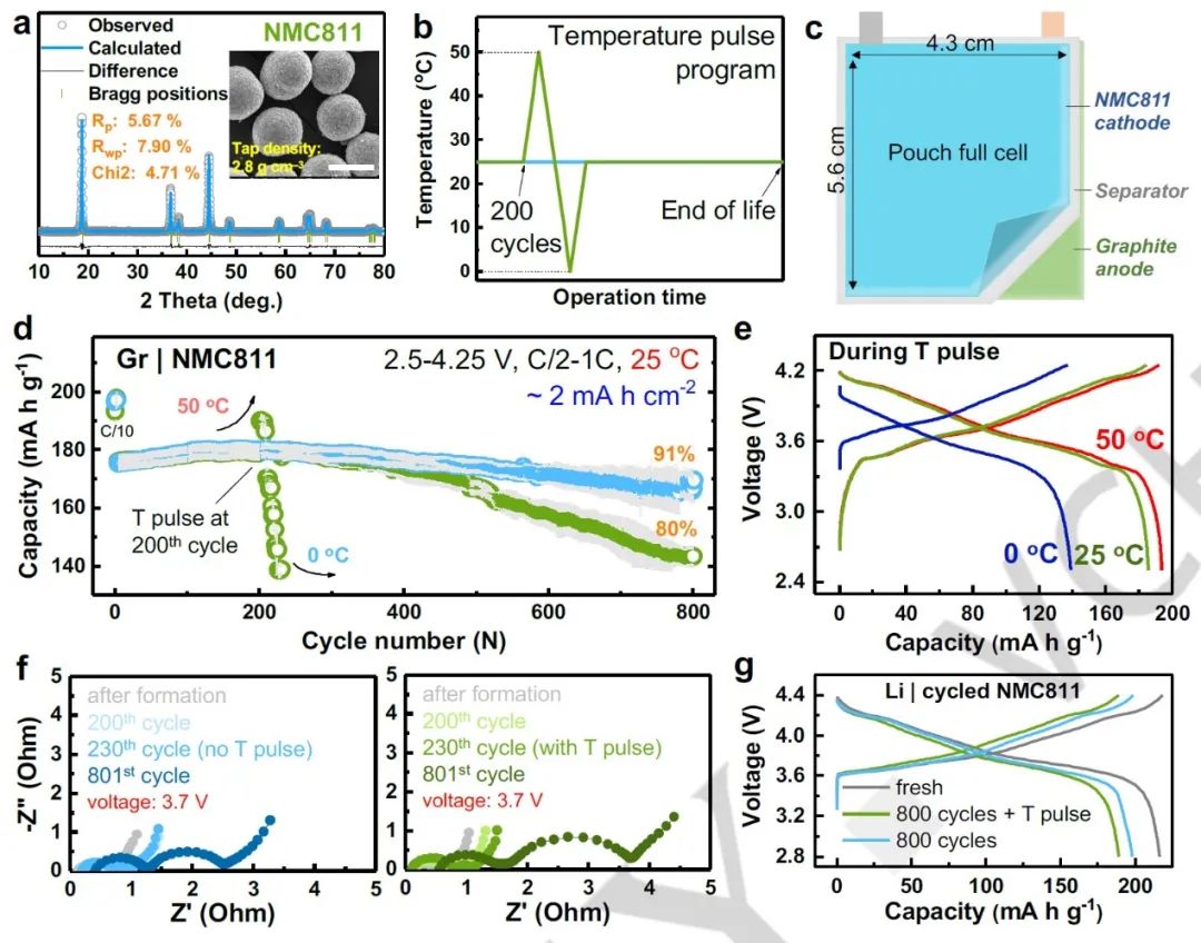 電池頂刊集錦：Angew、ACS Energy Lett.、AFM、ACS Nano等成果！