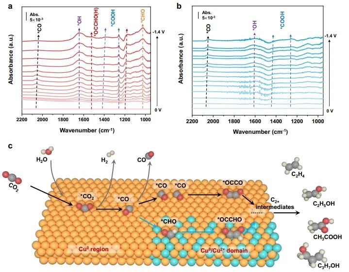 華東理工大學(xué)Nature子刊：Cu0/Cu2+界面上OC-CHO直接偶聯(lián)，實(shí)現(xiàn)CO2選擇性電還原為C2+