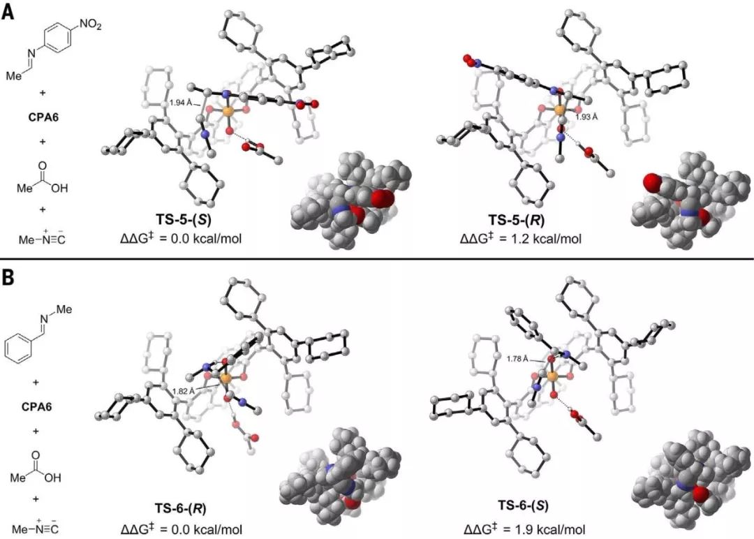 南方科大譚斌Science：實(shí)驗(yàn)和理論計(jì)算共同驗(yàn)證，挑戰(zhàn)60年未解科學(xué)難題