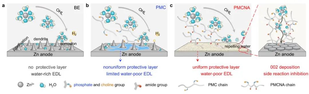 電池頂刊集錦：Angew、ACS Energy Lett.、AFM、ACS Nano等成果！