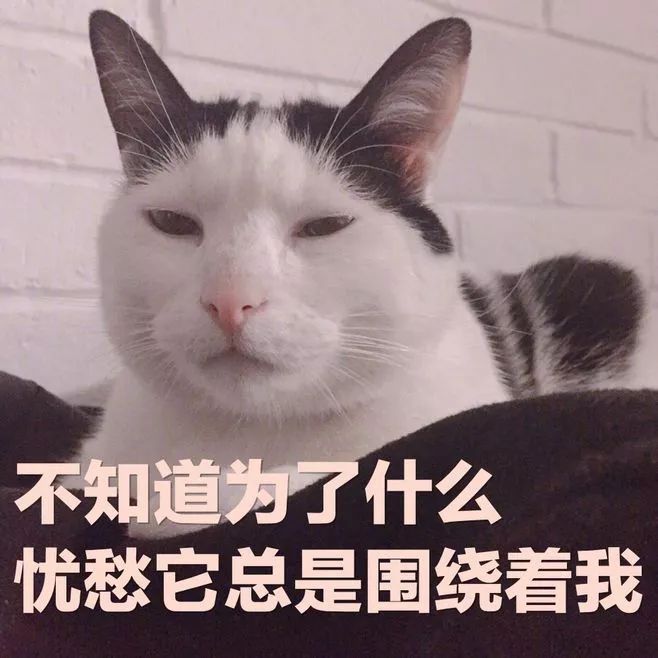 被罵慘！博士師弟：實(shí)驗(yàn)室發(fā)了50篇SCI的菌，被我一鍋端了...
