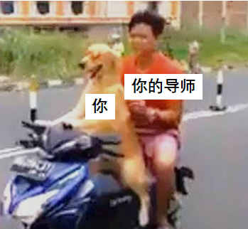 這屆碩博卷瘋了?。?！把導(dǎo)師培養(yǎng)成院士的10086種方式...