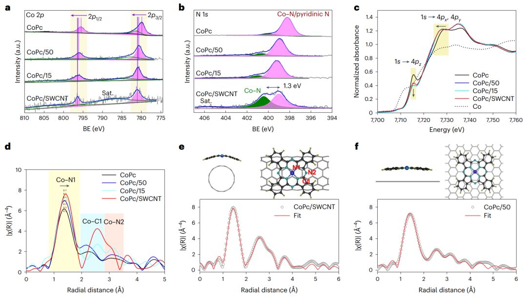 香港城市大學(xué)葉汝全團(tuán)隊(duì)，最新Nature Catalysis！給單原子催化劑施加一點(diǎn)應(yīng)變，效果更好！