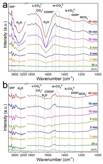 王心晨/汪思波，最新JACS！