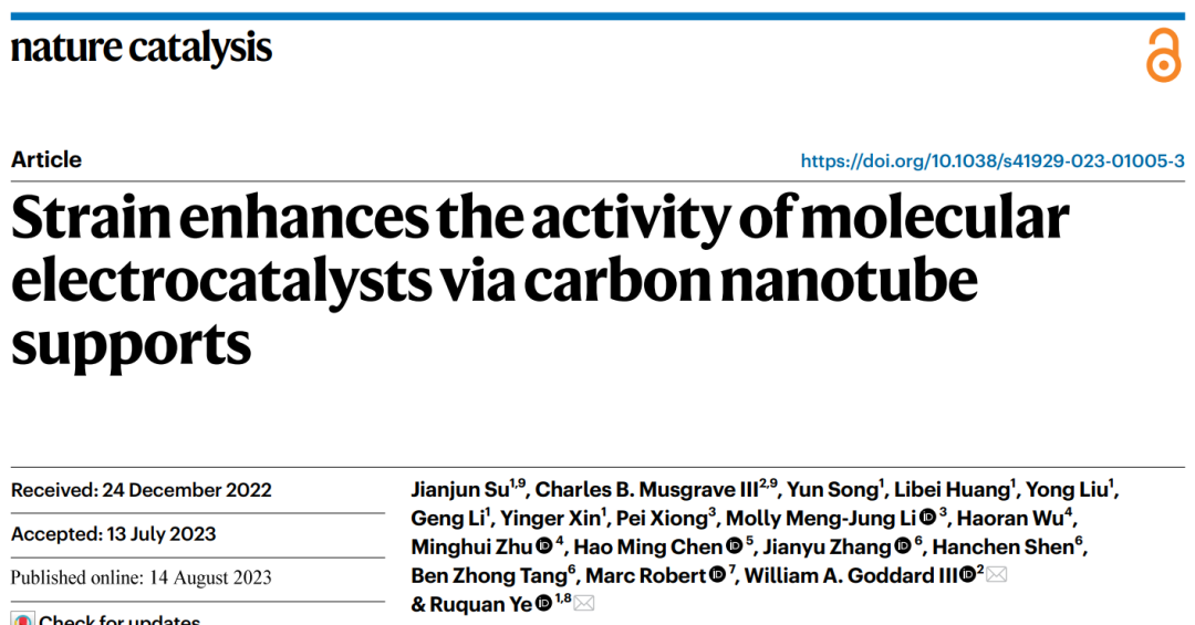 香港城市大學(xué)葉汝全團(tuán)隊(duì)，最新Nature Catalysis！給單原子催化劑施加一點(diǎn)應(yīng)變，效果更好！