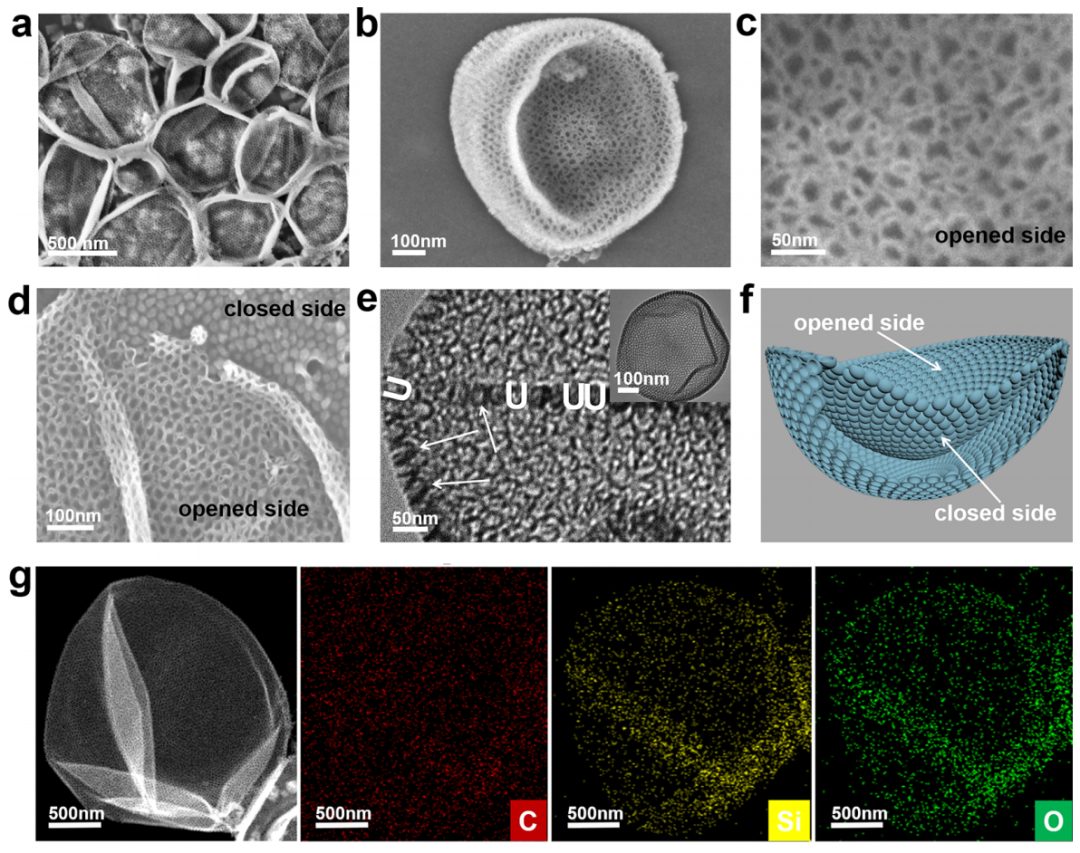 趙東元院士，最新JACS！