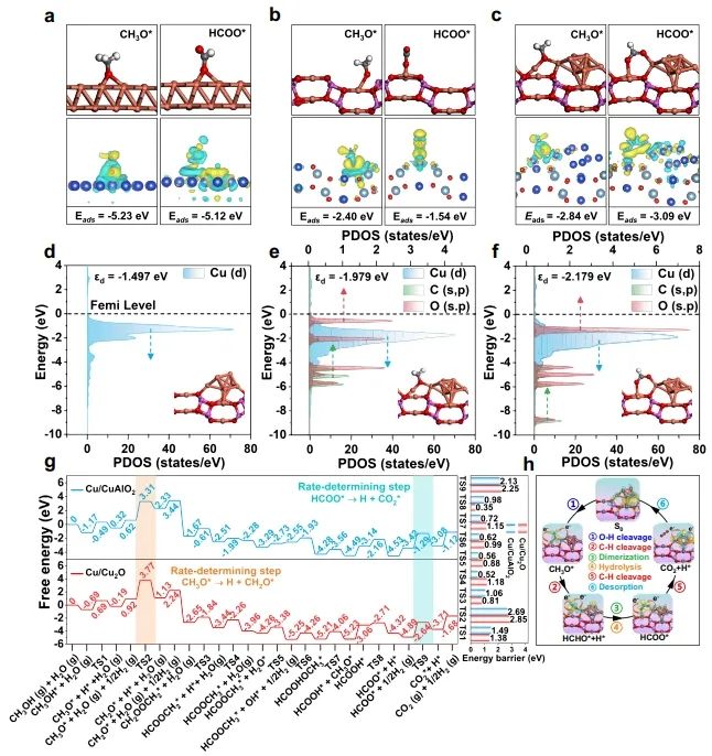 催化日報||頂刊集錦：Nature子刊/JACS/ACS Catal./Adv. Sci.等成果