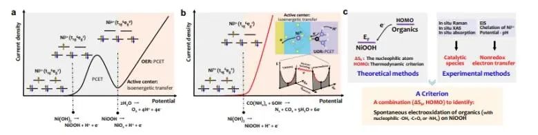 催化日報||頂刊集錦：Nature子刊/JACS/ACS Catal./Adv. Sci.等成果