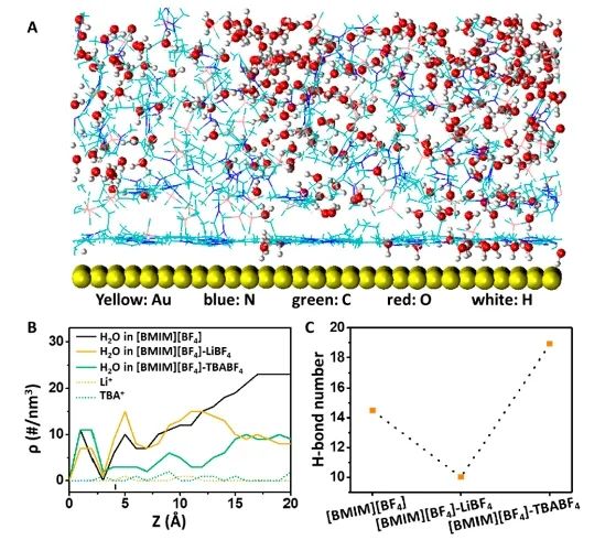 催化日報||頂刊集錦：Nature子刊/JACS/ACS Catal./Adv. Sci.等成果