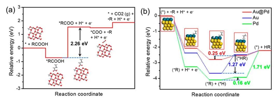 ACS Catalysis：選擇性近100%！Au-Pd/TiO2助力脂肪酸脫羧反應