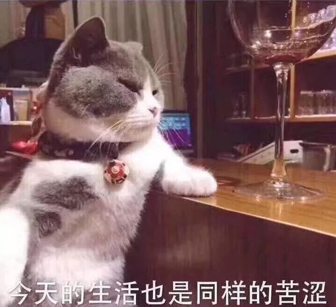 被罵慘！博士師弟：實(shí)驗(yàn)室發(fā)了50篇SCI的菌，被我一鍋端了...