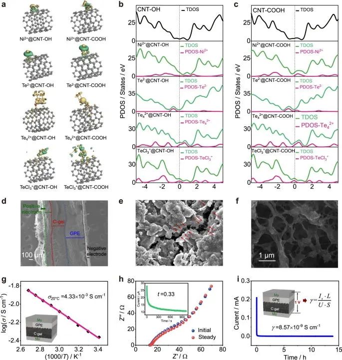 ?北科焦樹強等，最新Nature子刊！