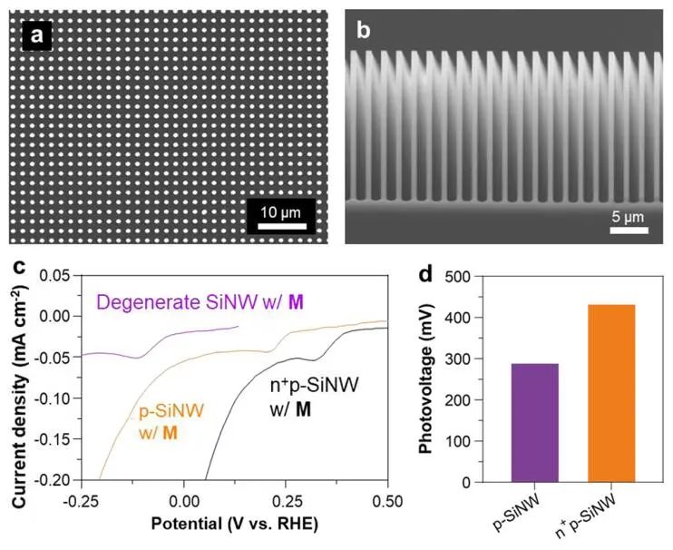 楊培東院士團隊，最新JACS！