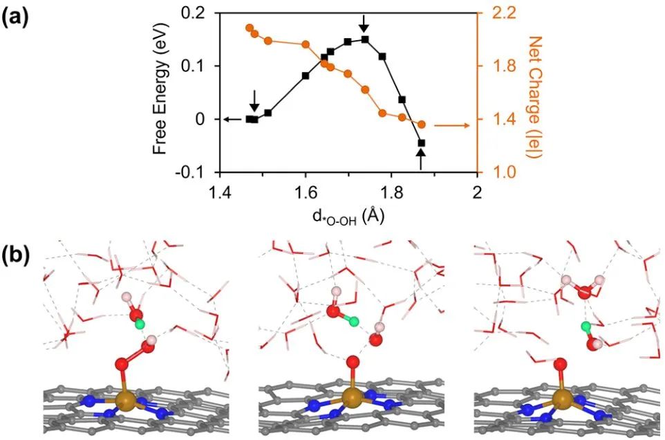 計算日報||頂刊集錦：JACS/Angew/AM/ACS Catal./Small等計算成果