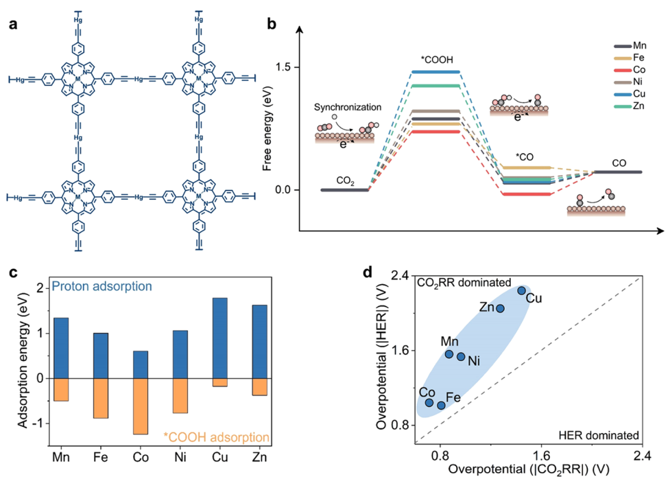 【計算+實驗】最新頂刊：JACS、Nature子刊、AFM、Angew.、Nano Research等成果集錦！