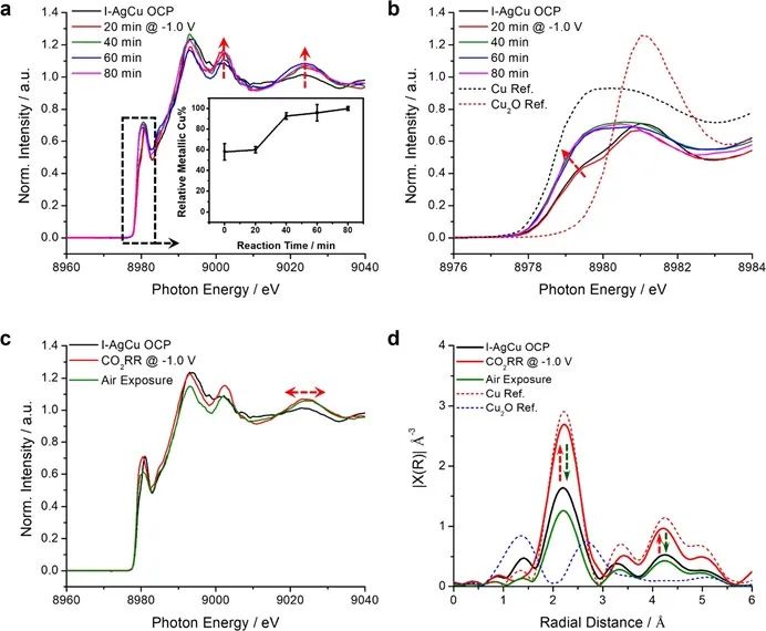 楊培東院士，最新JACS！