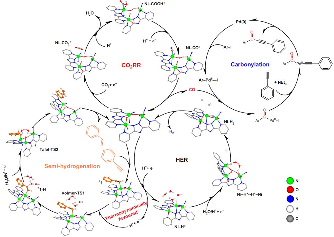 這所大學(xué)，迎來(lái)首篇Nature Synthesis！