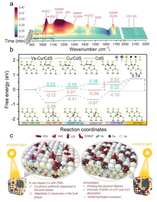 湖南大學ACS Catalysis：Cu摻入CdS體相中，實現(xiàn)高效光催化CO2還原