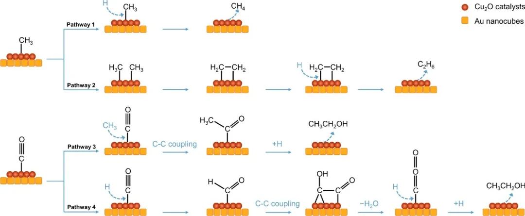 華中科技大學(xué)楊旋教授團(tuán)隊(duì)Nature Communications：基于金超晶格薄膜揭示電化學(xué)一氧化碳還原過(guò)程中C?C偶聯(lián)機(jī)理